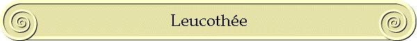 Leucothe