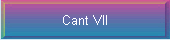 Cant VII